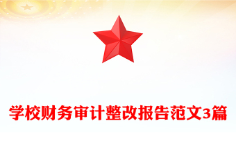 學校財務審計整改報告范文3篇