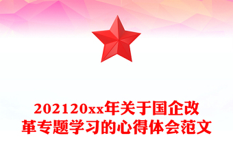 202120xx年關(guān)于國(guó)企改革專題學(xué)習(xí)的心得體會(huì)范文