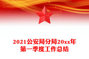 2021公安局分局20xx年第一季度工作總結