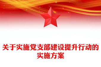 關(guān)于實(shí)施黨支部建設(shè)提升行動的實(shí)施方案