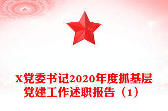 X黨委書記2020年度抓基層黨建工作述職報告（1）