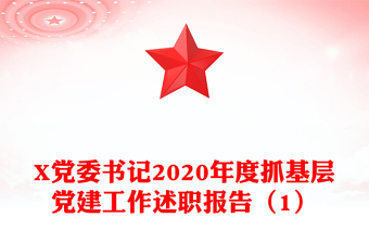 X黨委書記2020年度抓基層黨建工作述職報(bào)告（1）