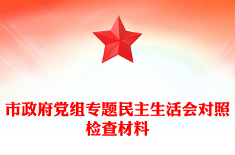 市政府黨組專題民主生活會對照檢查材料