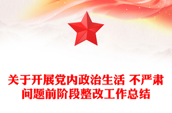 關(guān)于開展黨內(nèi)政治生活 不嚴(yán)肅問題前階段整改工作總結(jié)