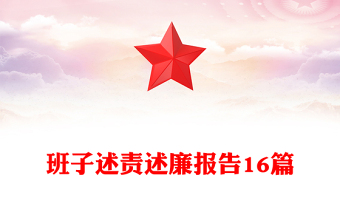 班子述責述廉報告16篇