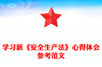 學(xué)習(xí)新《安全生產(chǎn)法》心得體會參考范文 學(xué)習(xí)新《安全生產(chǎn)法》心得體會參考范文