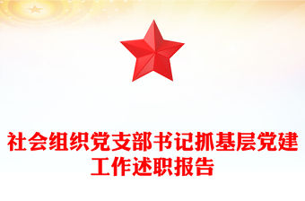 社會組織黨支部書記抓基層黨建工作述職報告
