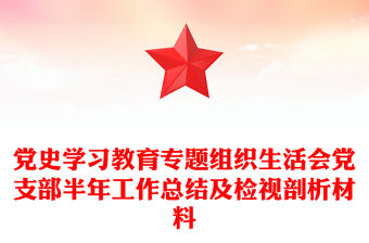 黨史學(xué)習(xí)教育專題組織生活會黨支部半年工作總結(jié)及檢視剖析材料
