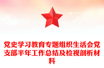 黨史學(xué)習(xí)教育專題組織生活會(huì)黨支部半年工作總結(jié)及檢視剖析材料