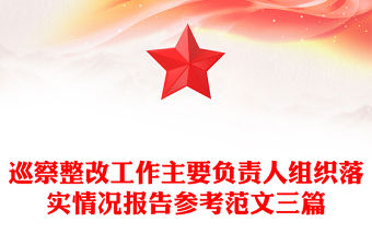 巡察整改工作主要負責人組織落實情況報告參考范文三篇