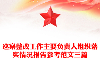 巡察整改工作主要負(fù)責(zé)人組織落實(shí)情況報(bào)告參考范文三篇