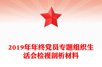 2019年年終黨員專題組織生活會檢視剖析材料