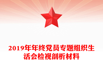 2019年年終黨員專題組織生活會檢視剖析材料