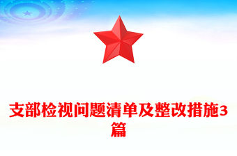 支部檢視問題清單及整改措施3篇