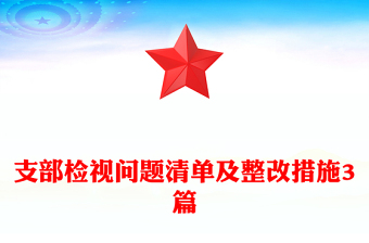支部檢視問題清單及整改措施3篇