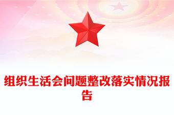 組織生活會問題整改落實情況報告