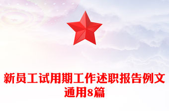 新員工試用期工作述職報告例文通用8篇