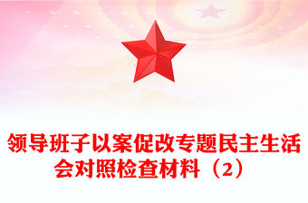 領導班子以案促改專題民主生活會對照檢查材料（2）