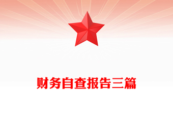 財(cái)務(wù)自查報(bào)告三篇
