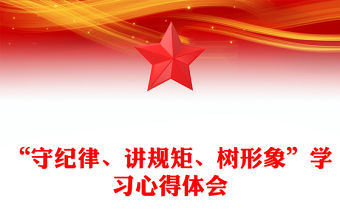 “守紀律、講規矩、樹形象”學習心得體會