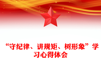 “守紀(jì)律、講規(guī)矩、樹形象”學(xué)習(xí)心得體會(huì)