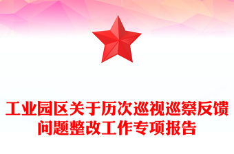 工業(yè)園區(qū)關(guān)于歷次巡視巡察反饋問題整改工作專項(xiàng)報告