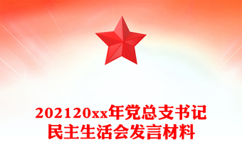 202120xx年黨總支書記民主生活會(huì)發(fā)言材料