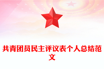 共青團員民主評議表個人總結范文