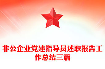 非公企業黨建指導員述職報告工作總結三篇
