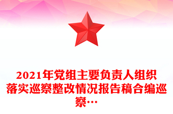 2021年黨組主要負責人組織落實巡察整改情況報告稿合編巡察…