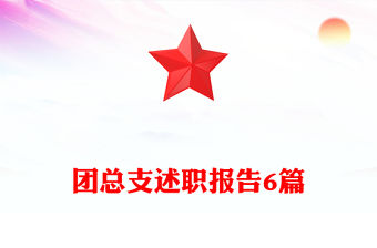 團總支述職報告6篇