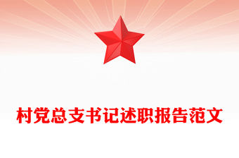 村黨總支書記述職報告范文