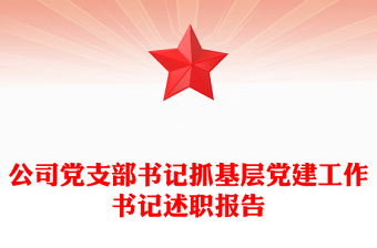 公司黨支部書記抓基層黨建工作書記述職報告 公司黨支部書記抓基層黨建工作書記述職報告