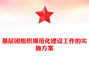 基層團(tuán)組織規(guī)范化建設(shè)工作的實施方案