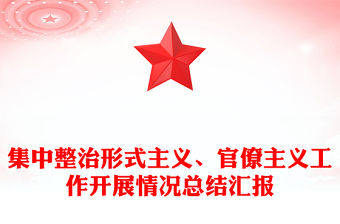 集中整治形式主義、官僚主義工作開展情況總結匯報