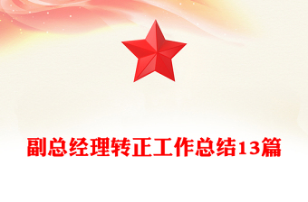 副總經(jīng)理轉(zhuǎn)正工作總結(jié)13篇