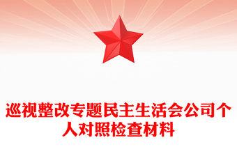 巡視整改專題民主生活會公司個人對照檢查材料