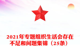 2021年專題組織生活會存在不足和問題集錦（25條）