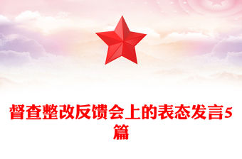 督查整改反饋會上的表態發言5篇