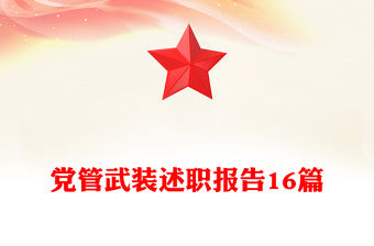 黨管武裝述職報告16篇