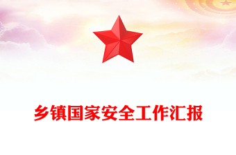 鄉(xiāng)鎮(zhèn)國家安全工作匯報