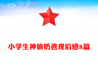 小學(xué)生神偷奶爸觀后感8篇
