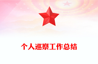 個人巡察工作總結