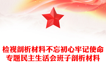 檢視剖析材料不忘初心牢記使命專題民主生活會班子剖析材料