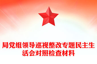 局黨組領導巡視整改專題民主生活會對照檢查材料