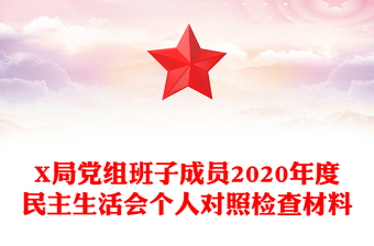 X局黨組班子成員2020年度民主生活會個人對照檢查材料