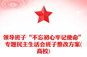 領導班子“不忘初心牢記使命”專題民主生活會班子整改方案(高校)