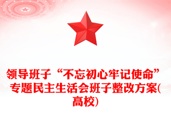 領(lǐng)導(dǎo)班子“不忘初心牢記使命”專題民主生活會班子整改方案(高校)