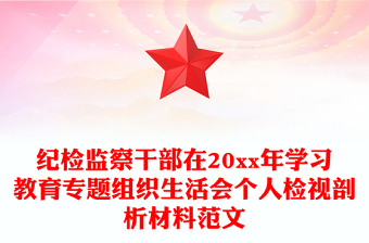 紀(jì)檢監(jiān)察干部在20xx年學(xué)習(xí)教育專題組織生活會個人檢視剖析材料范文
