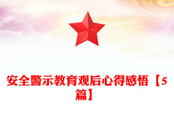 安全警示教育觀后心得感悟【5篇】